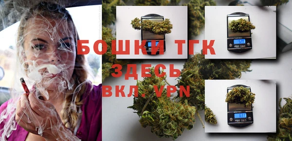 дмт Переславль-Залесский