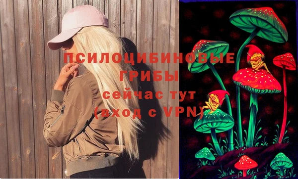 а пвп мука Пересвет
