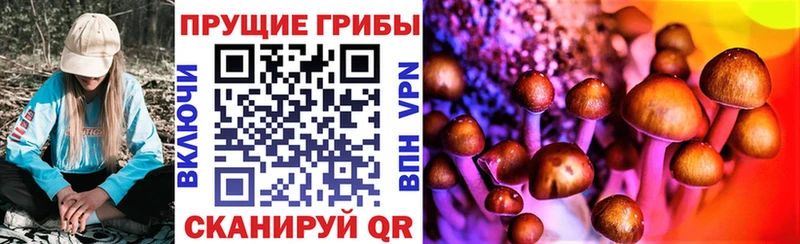 Псилоцибиновые грибы мухоморы  закладки  Пыталово 