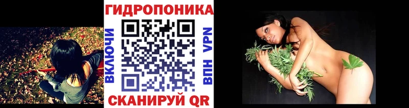 Бошки Шишки ГИДРОПОН  Пыталово 